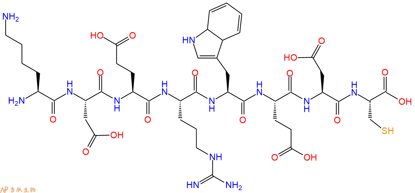多肽KDERWEDC的参数和合成路线|三字母为Lys-Asp-Glu-Arg-Trp-Glu-Asp
