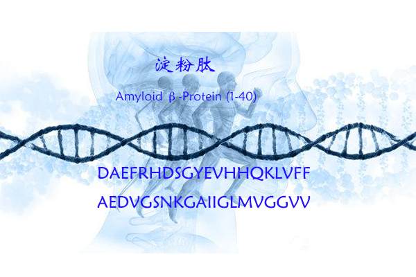每日壹肽--淀粉肽Amyloid β-Protein (1-40)
