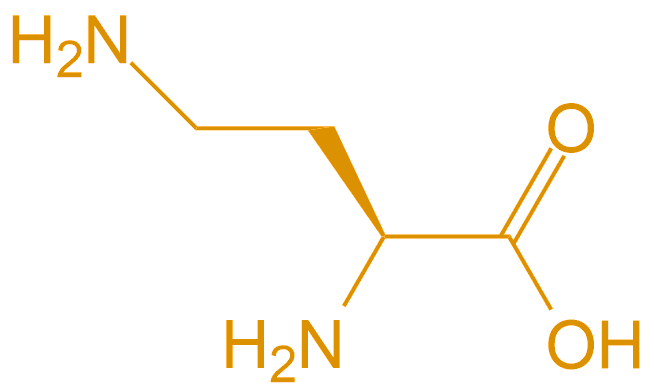 2,4-二氨基丁酸(专肽生物www.allpeptide.com)