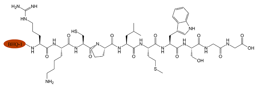 荧光标记产品(专肽生物www.allpeptide.com)