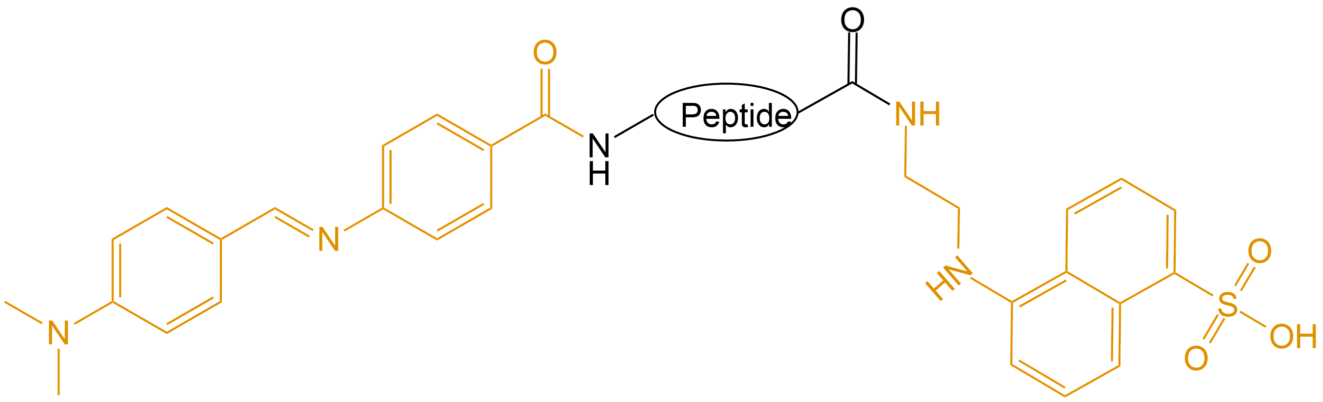DABCYL和EDANS双标记(专肽生物www.allpeptide.com)