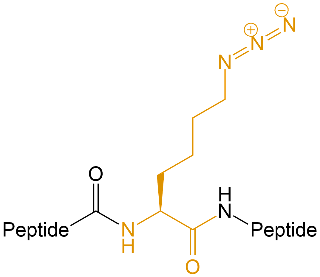 叠氮修饰(专肽生物www.allpeptide.com)