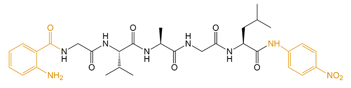 双标记多肽的结构(专肽生物www.allpeptide.com)