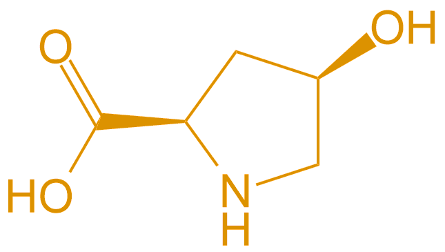 D型羟脯氨酸(专肽生物www.allpeptide.com)