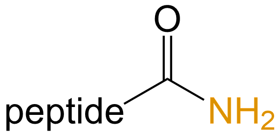 C端酰胺化(专肽生物www.allpeptide.com)