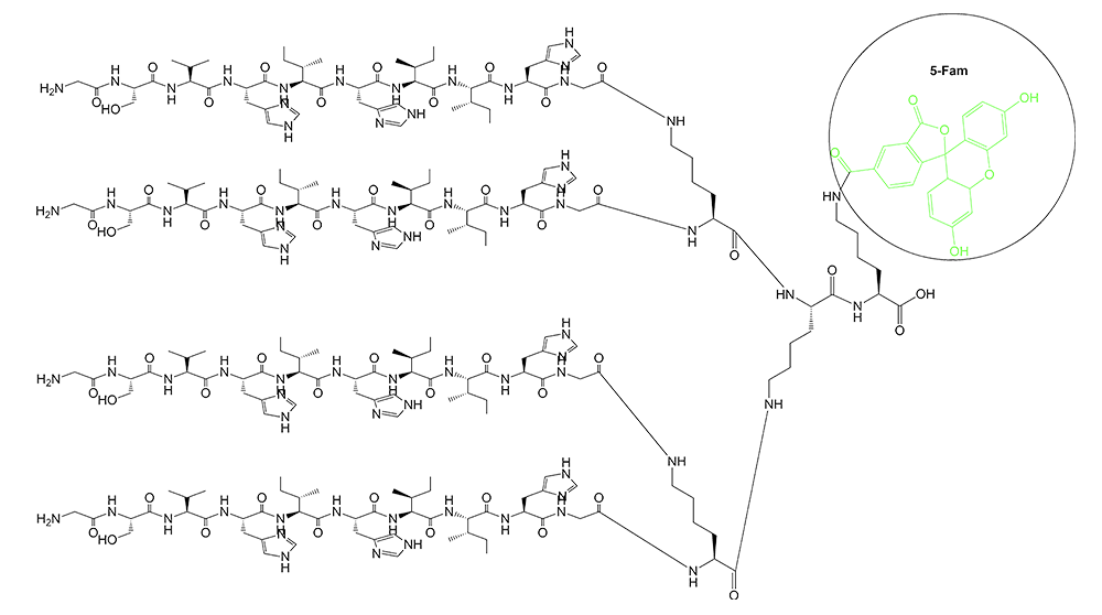 多聚抗原肽，分支肽的结构(专肽生物www.allpeptide.com)