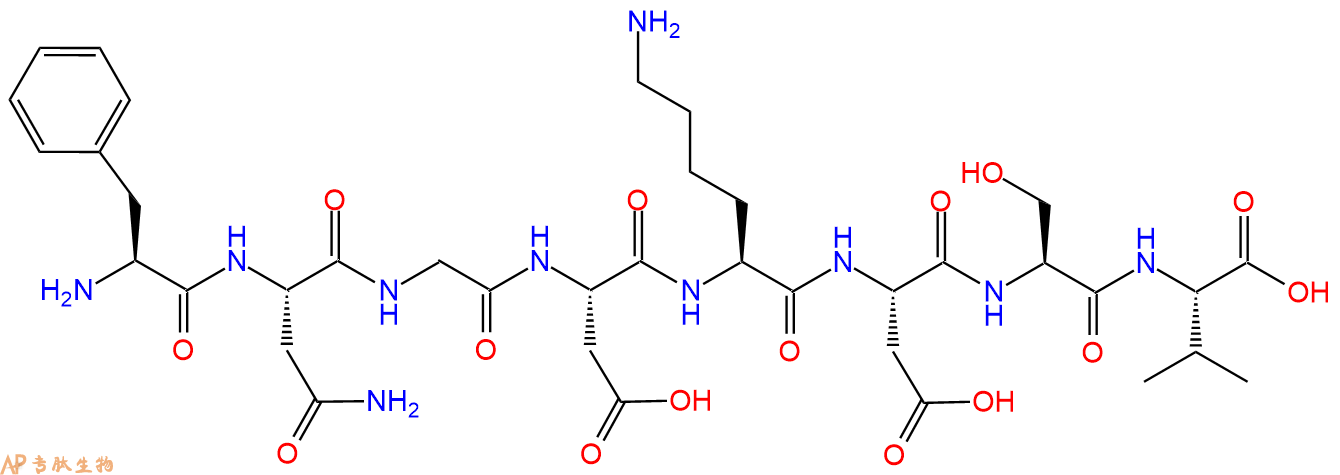多肽FNGDKDSV的参数和合成路线|三字母为Phe-Asn-Gly-Asp-Lys-Asp-Ser