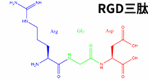 RGD线性三肽