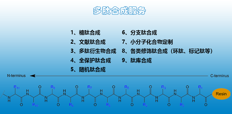 什么是定制多肽合成？