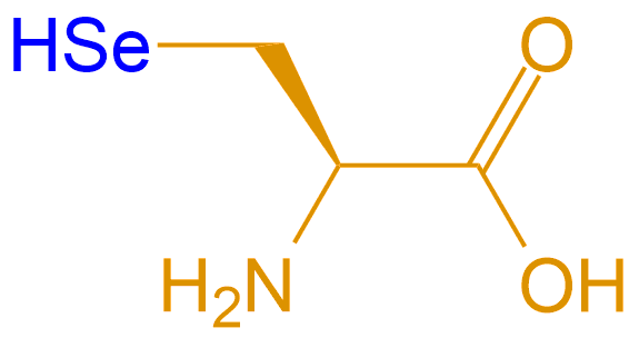 硒代半胱氨酸(专肽生物www.allpeptide.com)