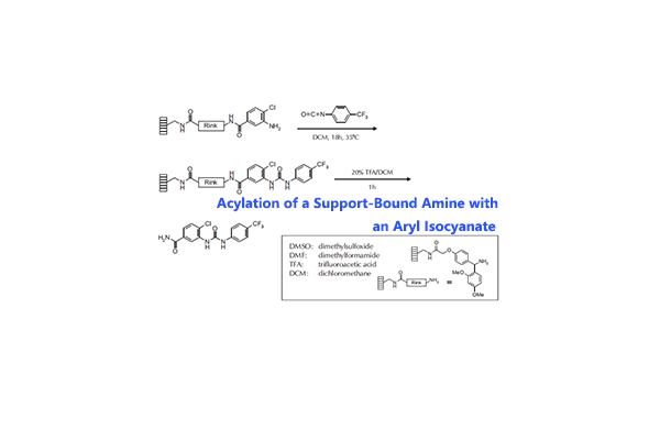 合成：Acylation of a Support-Bound Amine with an Aryl