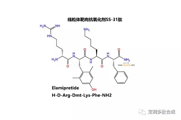 线粒体靶向抗氧化剂SS-31肽|736992-21-5|Elamipretide|H-D-Arg-D