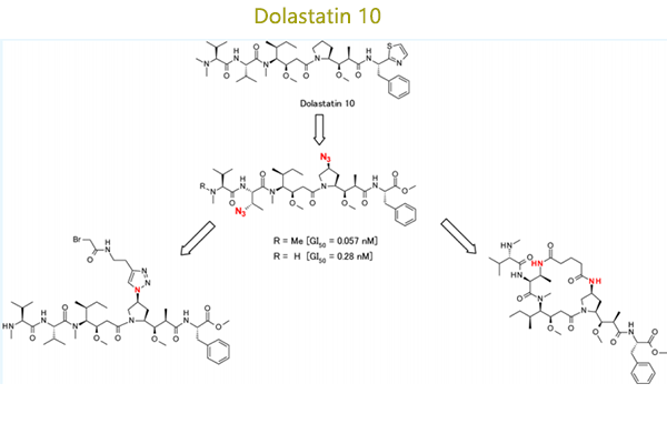 （海兔毒素）线性和大环含吡咯烷环修饰的Dolastatin 10类似物的合成和评价