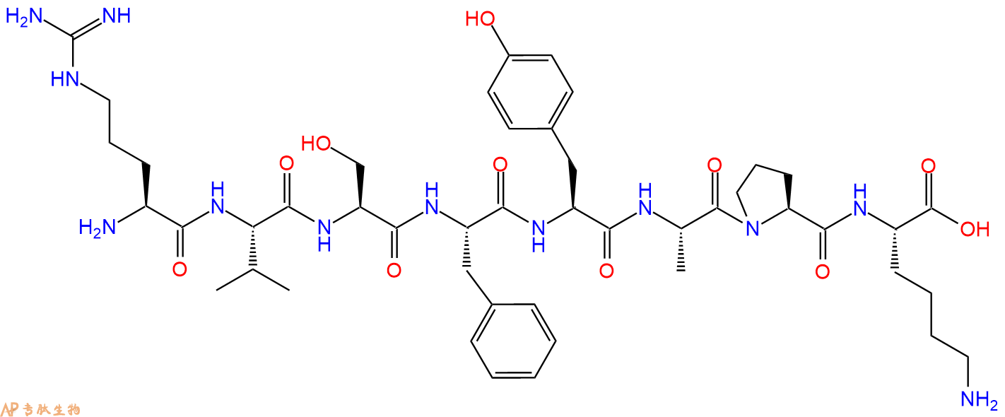 多肽RVSFYAPK的参数和合成路线|三字母为Arg-Val-Ser-Phe-Tyr-Ala-Pro