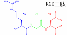 RGD线性三肽