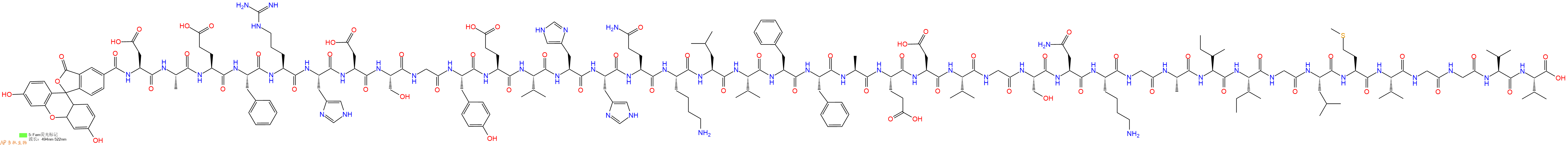 专肽生物产品淀粉肽Fam-βAmyloid(1-40)1678416-08-4