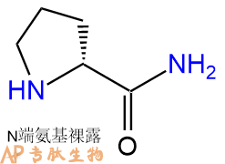 专肽生物产品　D-脯氨酰胺62937-45-5