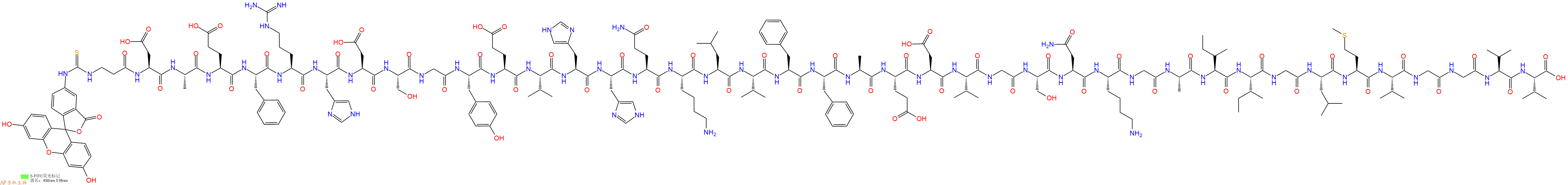 专肽生物产品淀粉肽FITC-β-Ala-Amyloid β-Protein (1-40)1802087-76-8