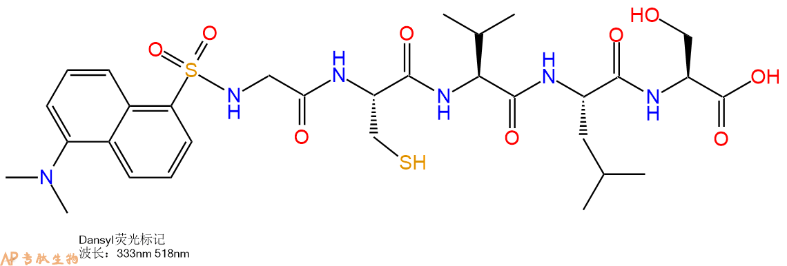 专肽生物产品标记肽Dansyl-Gly-Cys-Val-Leu-Ser-OH143744-88-1