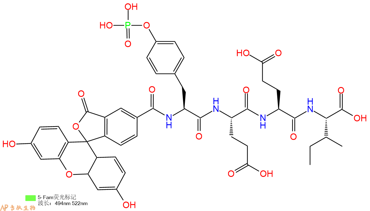 专肽生物产品荧光标记肽5Fam-Tyr(PO3H2)-Glu-Glu-Ile-OH1334600-11-1