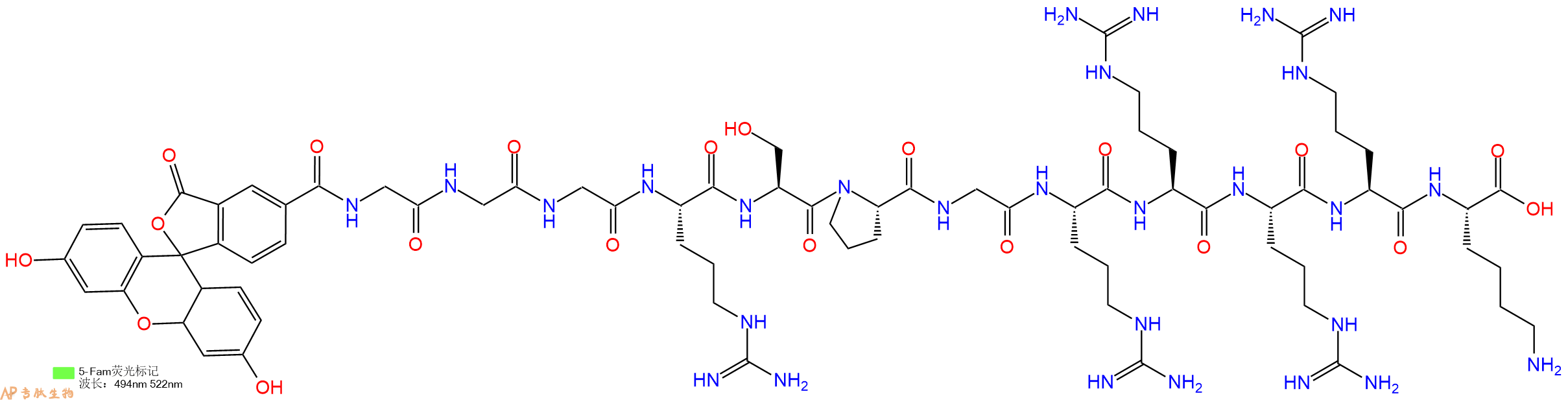 专肽生物产品荧光标记肽5-FAM-GGGRSPGRRRRK