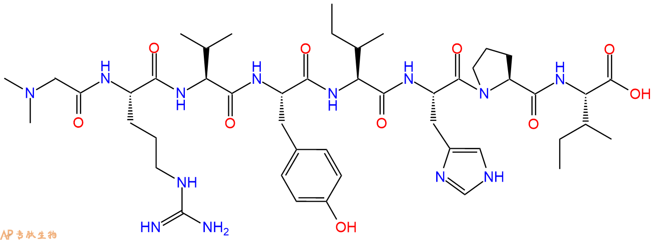 专肽生物产品血管紧张素(Sar1, Ile8)-AngiotensinI I37827-06-8