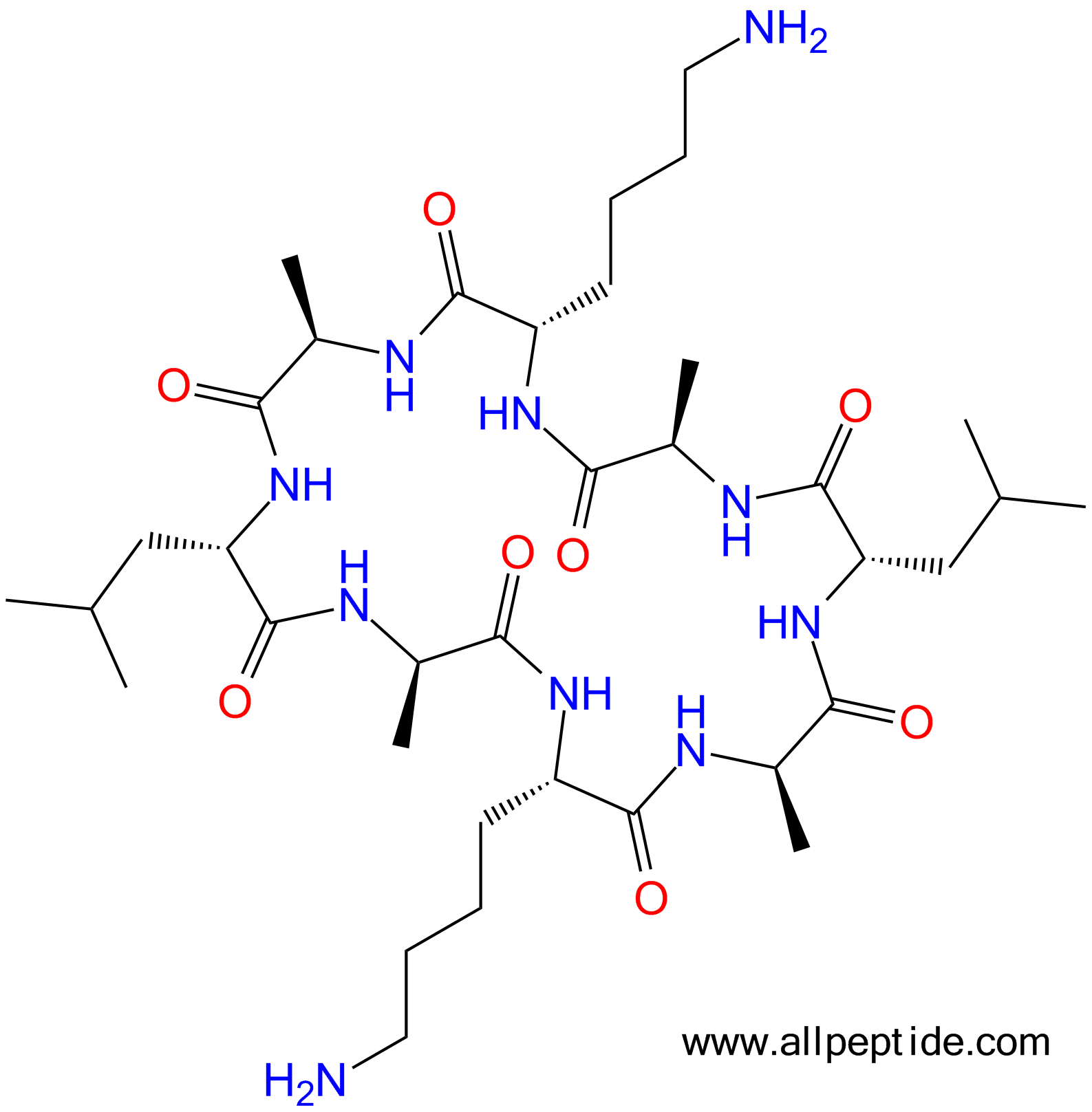 专肽生物产品八肽cyclo(K-DAla-L-DAla-K-DAla-L-DAla)(main chain cy1333476-17-7