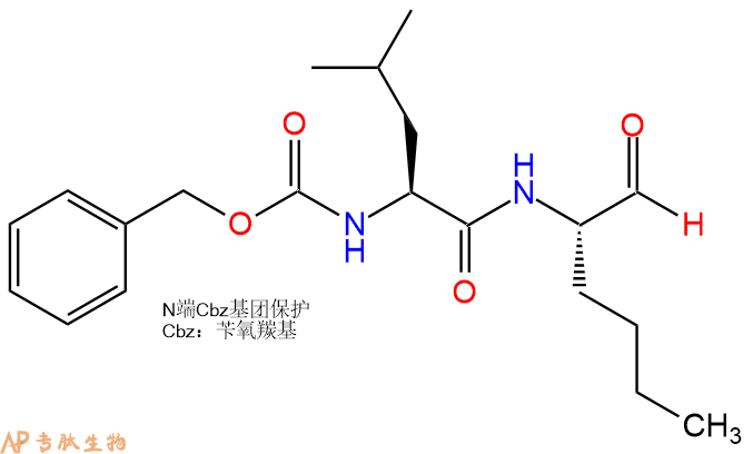 专肽生物产品蛋白酶抑制剂 Calpain Inhibitor：Calpeptin117591-20-5