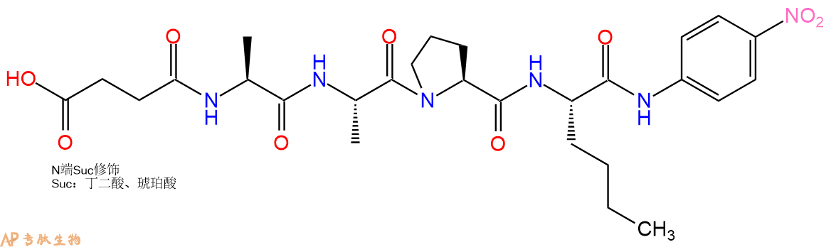 专肽生物产品四肽Suc-Ala-Ala-Pro-Nle-对硝基苯胺72682-72-5