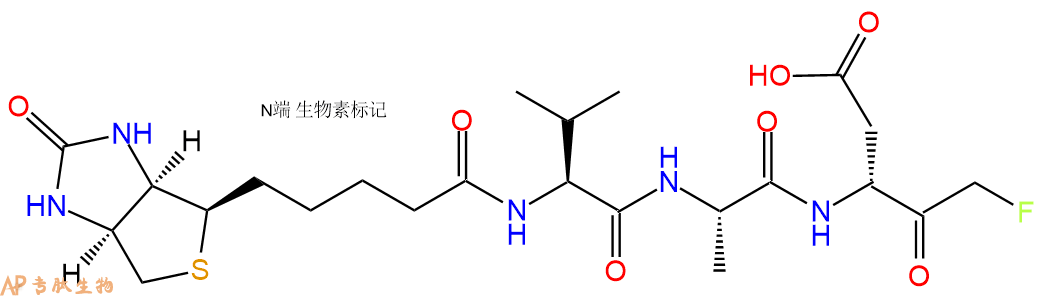专肽生物产品三肽Biotinyl-Val-Ala-DL-Asp-fluoromethylketone2243207-07-8