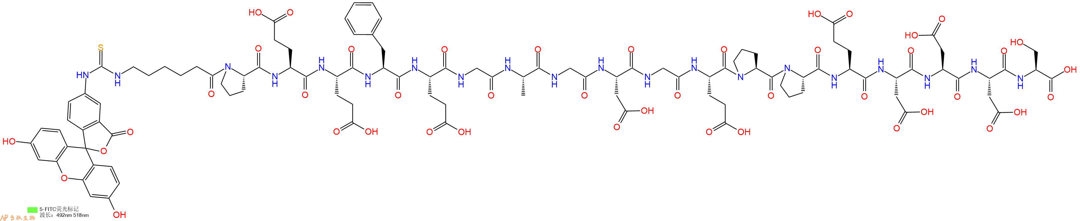 专肽生物产品FITC-εAhx-PEEFEGAGDGEPPEDDDS2022956-64-3