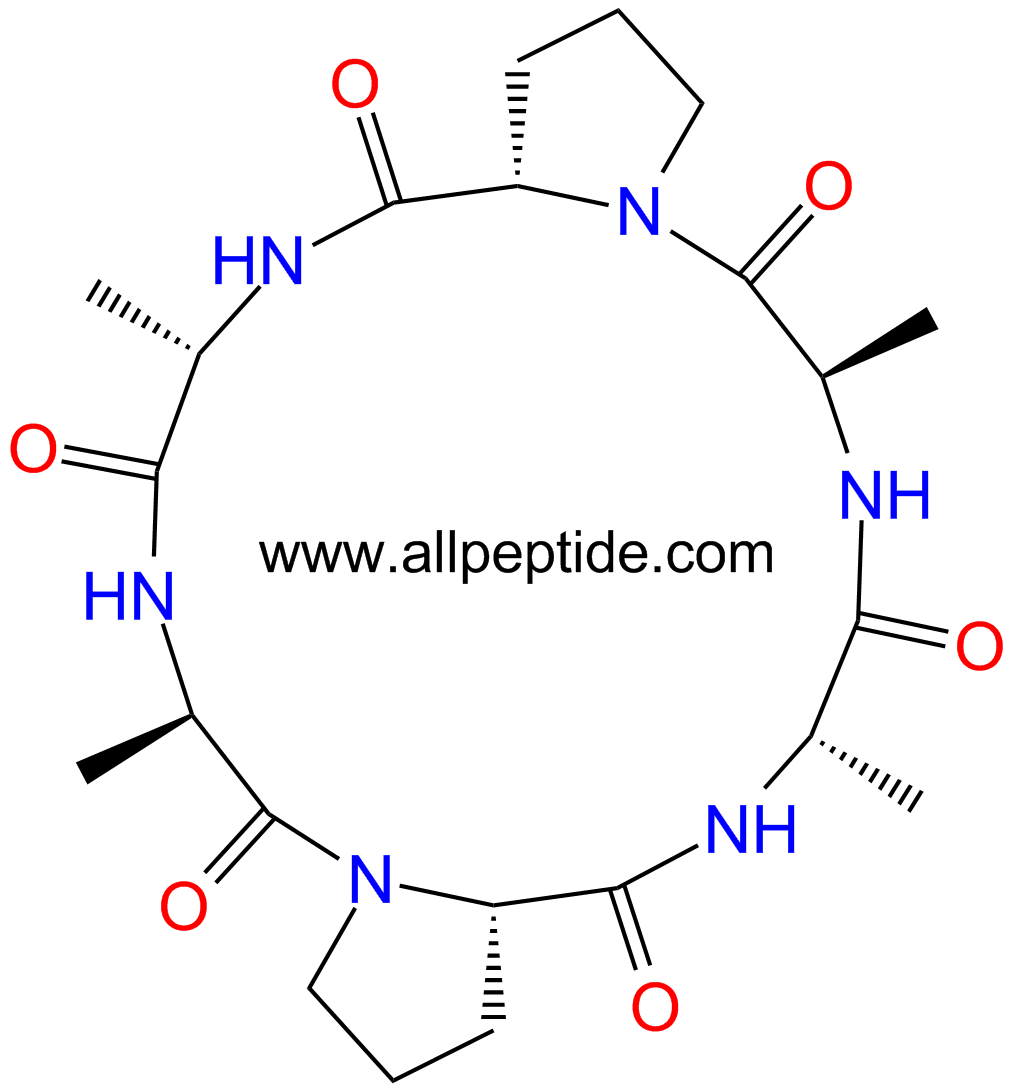 专肽生物产品环六肽c(DAla-Pro-Ala-DAla-Pro-Ala)66254-41-9