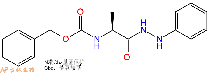 专肽生物产品Cbz-Ala-NHNHPh28861-55-4