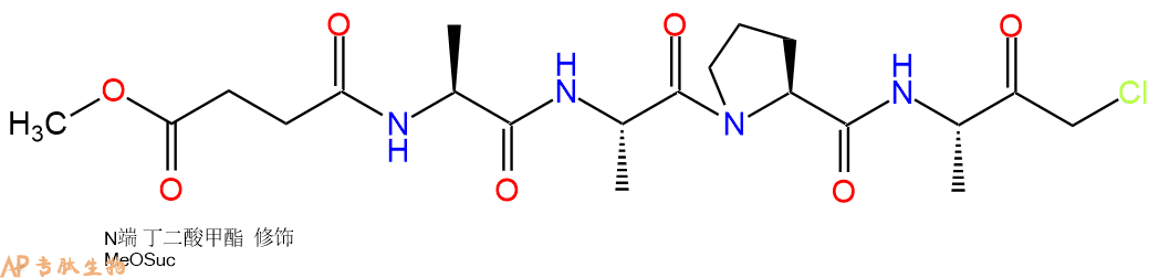 专肽生物产品MeOSuc-Ala-Ala-Pro-Ala-chloromethylketone111682-13-4