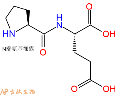 专肽生物产品二肽Pro-Glu67644-00-2