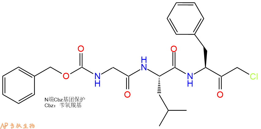 专肽生物产品三肽CathepsinG Inhibitor