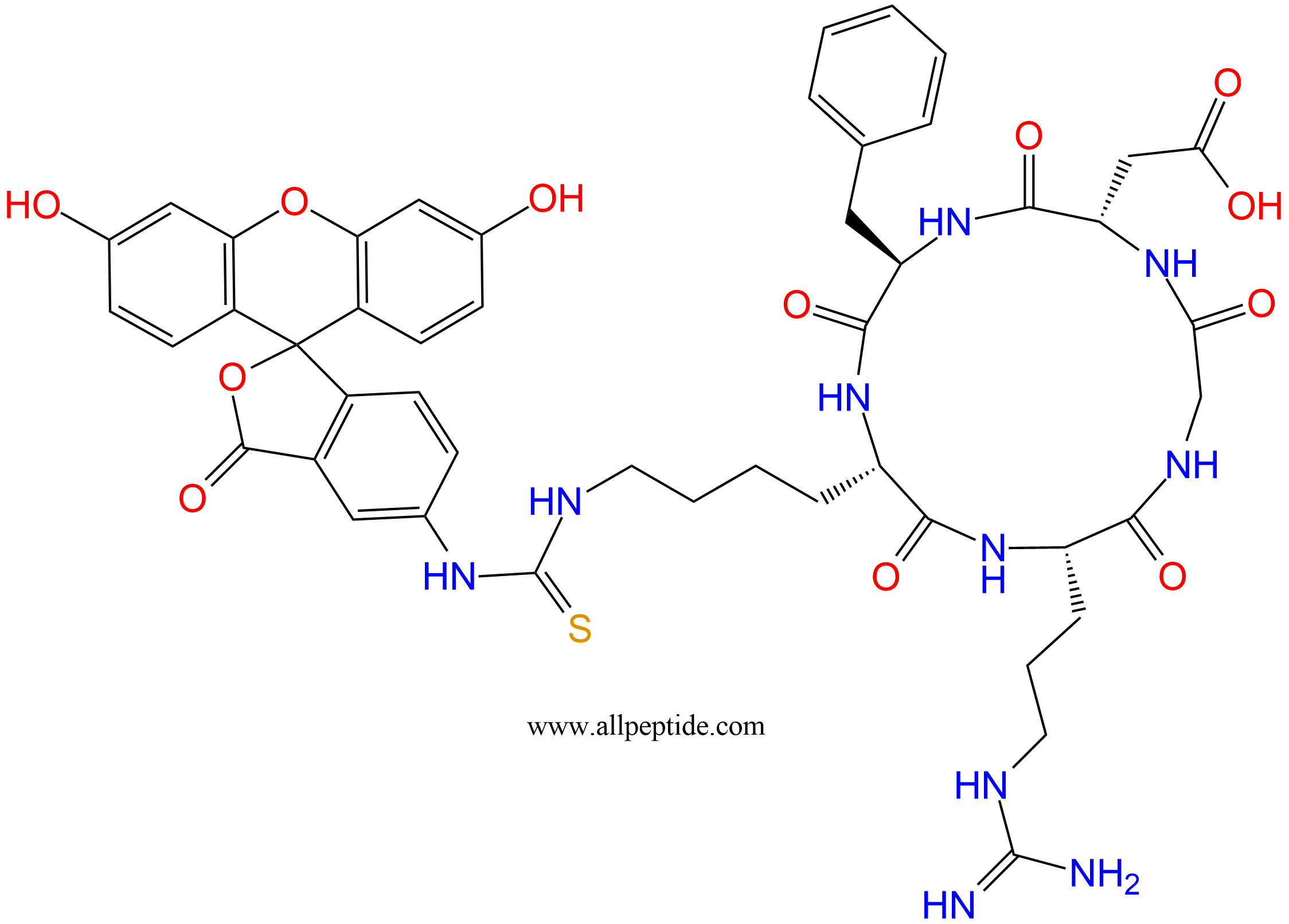 专肽生物产品c(RGD)环肽：c(RGDfK(FITC))、环状多肽c(RGDfK)-FITC标记