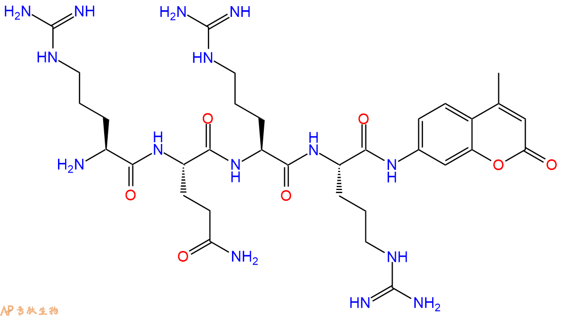专肽生物产品标记肽H-Arg-Gln-Arg-Arg-7-氨基-4-甲基香豆素243466-39-9