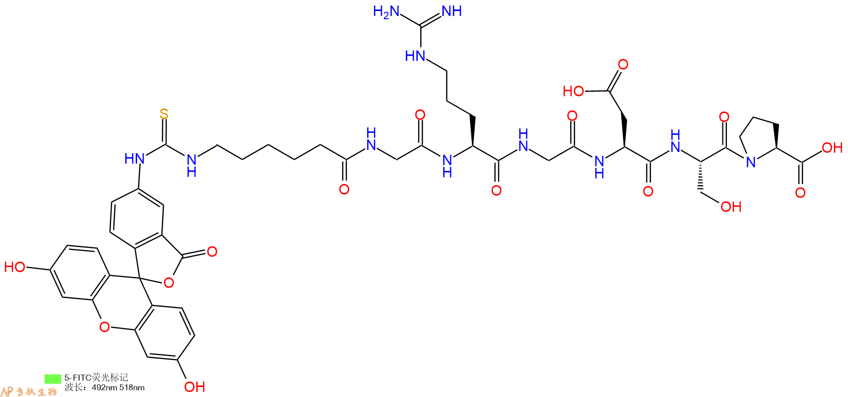 专肽生物产品七肽Fitc-Acp-GRGDSP2022956-44-9