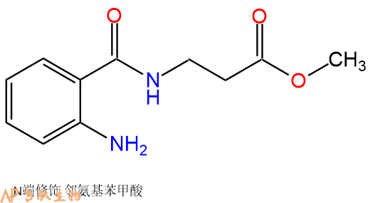 专肽生物产品Abz-βAla-甲酯化221539-43-1