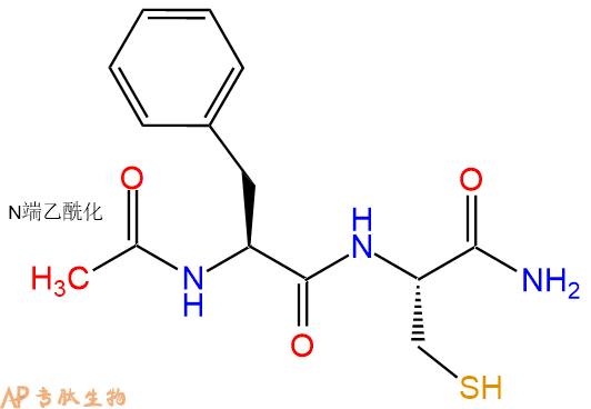 专肽生物产品二肽Ac-Phe-Cys-NH2
