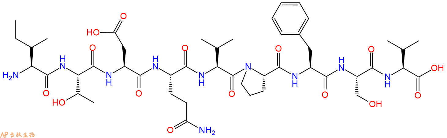 专肽生物产品褪黑素Melanocyte Protein PMEL 17 (185-193) (human, bo162558-10-3