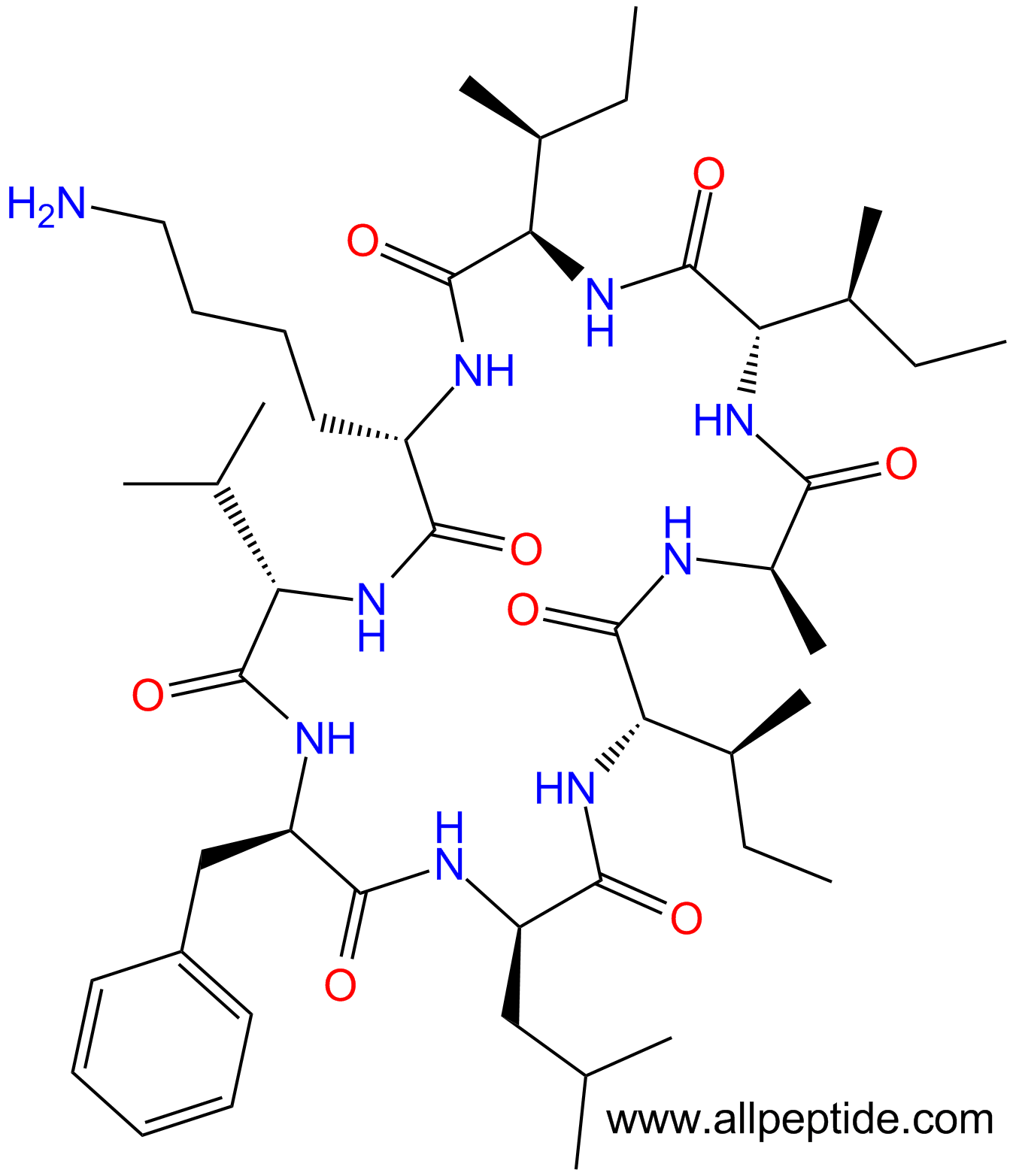 专肽生物产品八肽cyclo(I-DIle-KV-DPhe-DLeu-I-DAla)(main chain cyc1444002-14-5