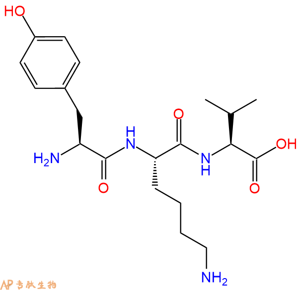 专肽生物产品三肽Tyr-Lys-Val