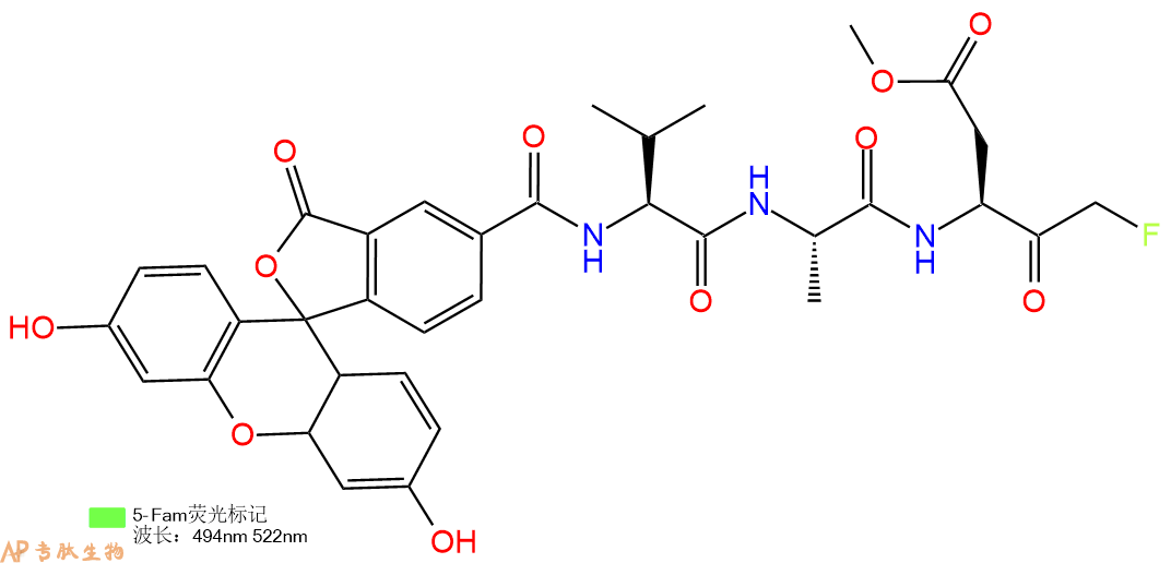 专肽生物产品FMK修饰肽：5-FAM-Val-Ala-Asp(OME)-FMK560094-66-8