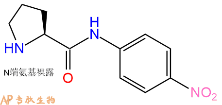 专肽生物产品标记肽H-Pro-对硝基苯胺7369-91-7