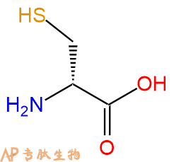 专肽生物产品　D-半胱氨酸921-01-7