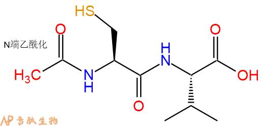 专肽生物产品二肽Ac-Cys-Val