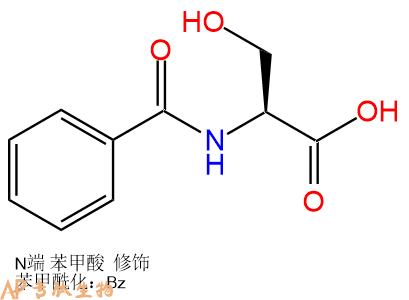 专肽生物产品L-N-苄基丝氨酸17136-45-7