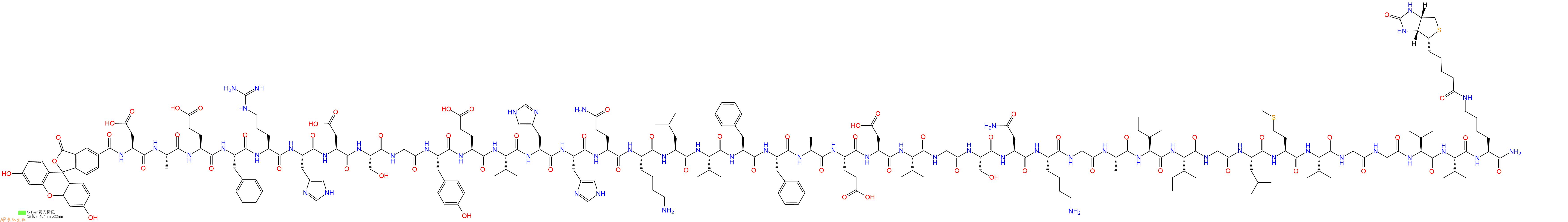 多肽生物产品5-FAM-Amyloid β-Protein (1-40)-Lys(εAhx-biotinyl)
